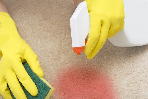 Regular cleaning service for Kingston homes and apartments