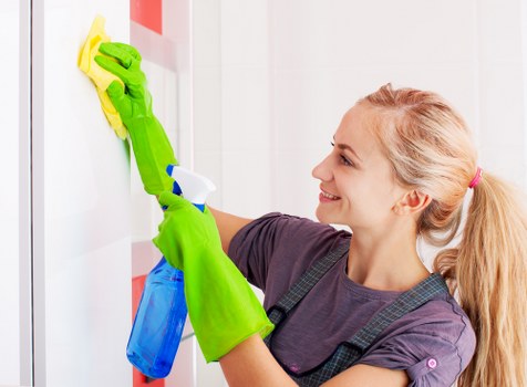 Professional house cleaning service for Kingston homes and apartments