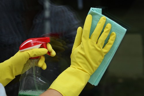 Local cleaner maintaining a kitchen and living space in Kingston