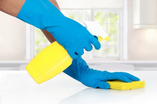 Soft washing and exterior cleaning on Kingston masonry