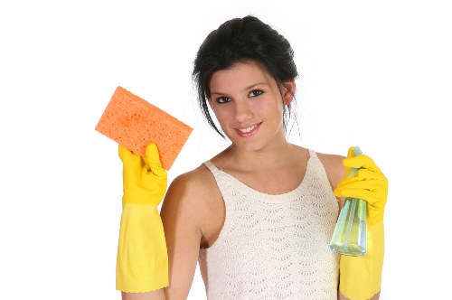 Team providing professional carpet cleaning services in Kingston