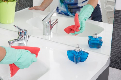Preparation checklist and service setup for pet stain treatment in Kingston