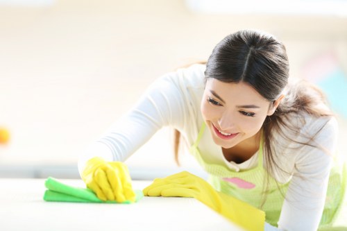 Accessibility request support for Kingston Carpet Cleaners users