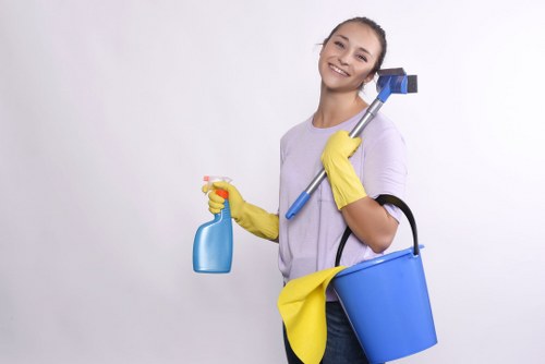 Local team cleaning commercial building façades in Kingston