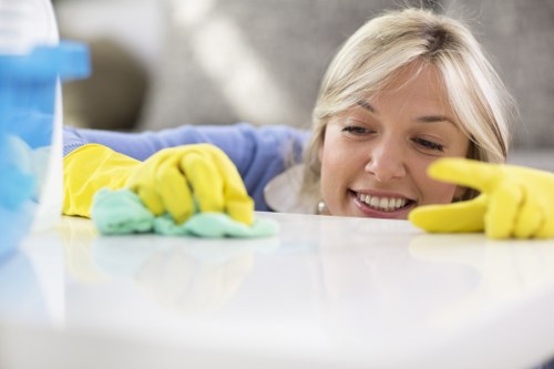Trusted domestic cleaning support for Kingston households and nearby areas
