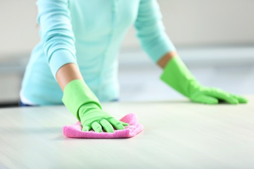 Professional rug cleaning service for Kingston homes