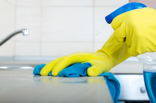 Professional gutter maintenance for homes and businesses in Kingston