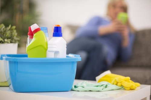 Deep cleaning of upholstery affected by pet stains in Kingston