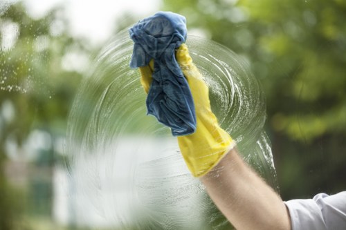 Deep cleaning and stain removal for area rugs in Kingston